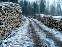 Сортировка древесины по длине и диаметру